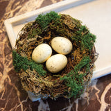Lush Mossy Birdnest w/White Speckled Eggs - 5 In Dia