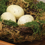 Lush Mossy Birdnest w/White Speckled Eggs - 5 In Dia