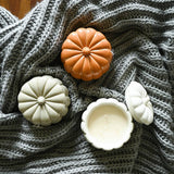 Fall LE Ceramic Pumpkin 16 oz: Rake, Pile, Leap!