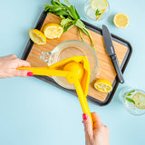 Fluicer - Fold Flat Easy Juicer