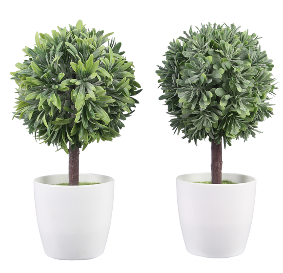 Artificial Topiary in White Planter, 2 Assorted