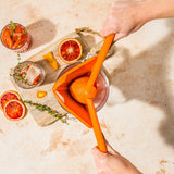 Fluicer - Fold Flat Easy Juicer