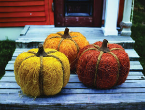 Rust/Orange/Yellow Straw Texture Pumpkins 3ast