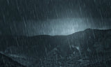 5.5 oz Wax Melts: Mountain Rain