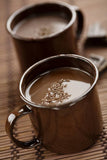 Door County Double Fudge Gourmet Hot Cocoa - One Mug Packet