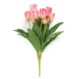 Pink Blooming Tulips Bush - 18"